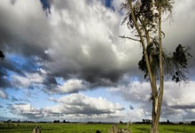 开云体育下载-哈斯车队轻取法拉利，汉密尔顿点燃赛场