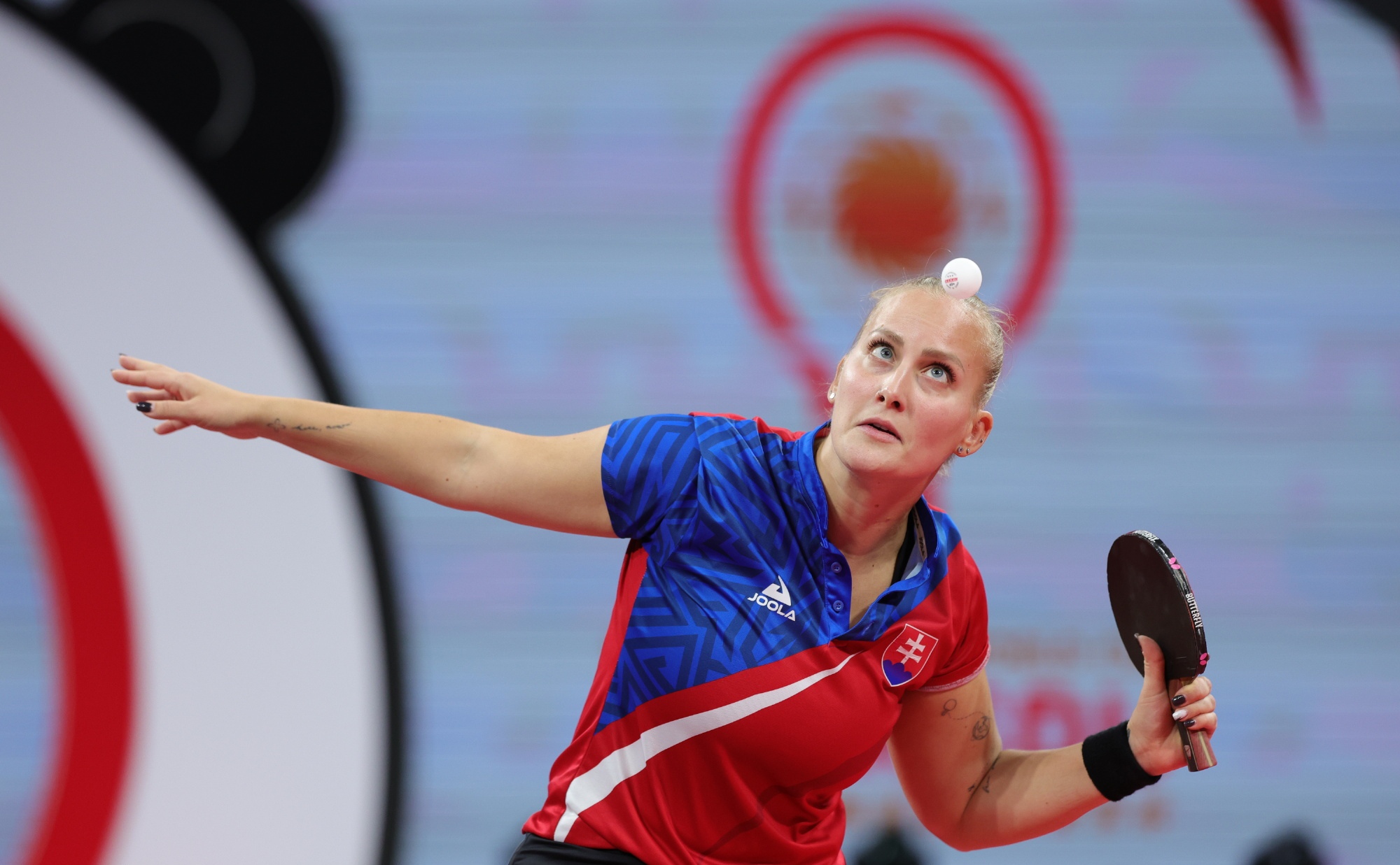 包含斯洛伐克射箭选手飒爽英姿,夺得金牌的词条 包含斯洛伐克射箭选手飒爽英姿,夺得金牌的词条