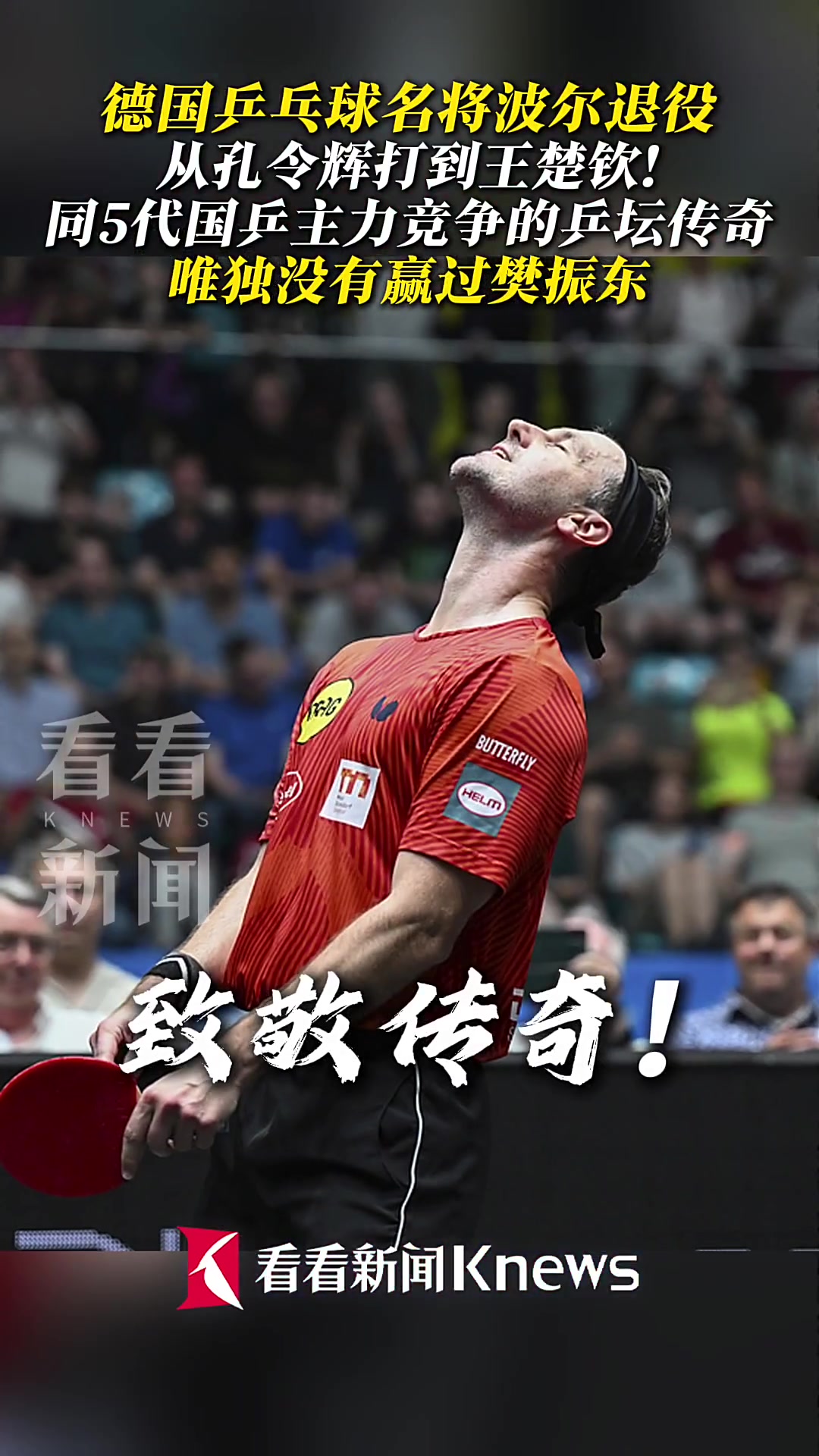 德国乒乓球队鏖战英国乒乓球队,波尔送出助攻的简单介绍 德国乒乓球队鏖战英国乒乓球队,波尔送出助攻的简单介绍