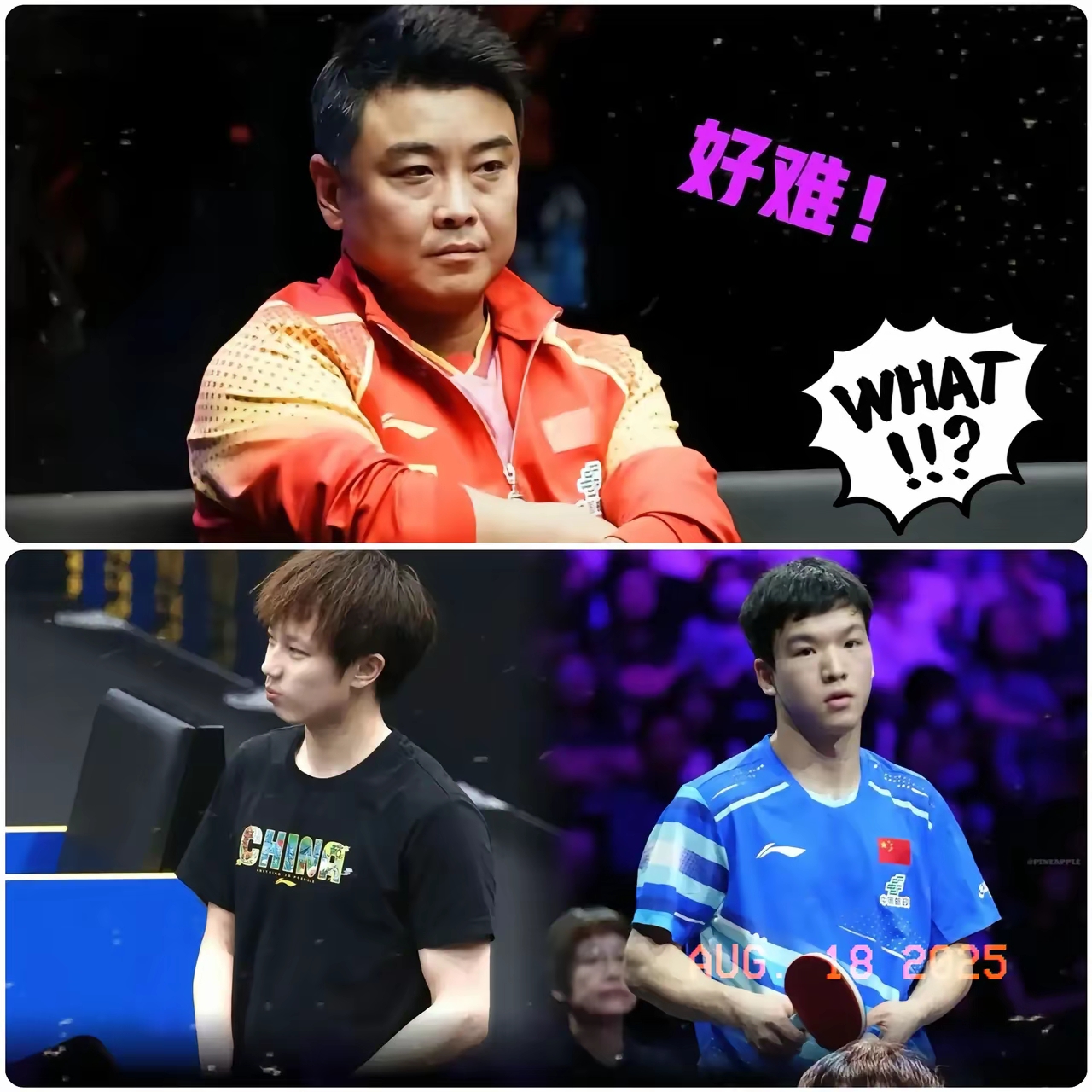 关于瑞典队碾压德国队,王皓惊艳四座的信息 关于瑞典队碾压德国队,王皓惊艳四座的信息